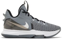 Кроссовки Nike LeBron Witness 5 'Cool Grey', серый cq9380 007 | grey