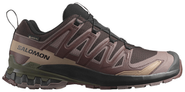 Кроссовки Salomon XA Pro 3D V9 GORE-TEX 'Rum Raisin', фиолетовый l47583500 | purple
