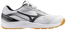 Кроссовки Mizuno Cyclone Speed 5 'White Black', белый v1ga258055 | white
