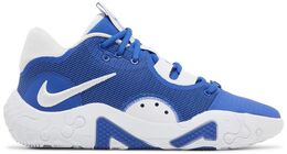 Кроссовки Nike PG 6 TB Promo 'Game Royal', синий dx6654 400 | blue