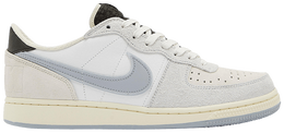 Кроссовки Nike Terminator Low 'Liberté', серый fj4207 001 | grey