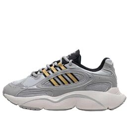 Кроссовки (WMNS) Adidas Ozmillen 'Grey White', серый ji3123 | grey