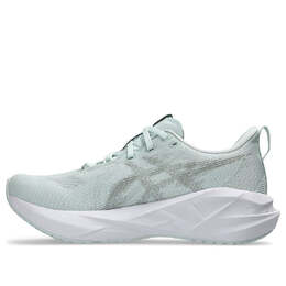 Кроссовки (WMNS) Asics Novablast 5 'Pure Aqua Seal Grey', серый 1012b765-300 | grey