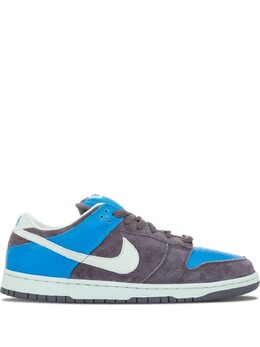 Nike кроссовки Dunk Low Pro SB, серый 304292032 | серый