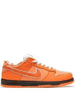 Кроссовки SB Dunk Low Concepts Orange Lobster Special Box Nike, оранжевый fd8776 | оранжевый