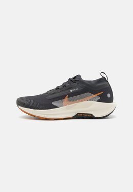 Кроссовки для бега REACTX PEGASUS TRAIL 5 GTX Nike Performance, черный n1242a2qu-q12 | off noir/pale ivory/black/monarch