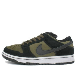 Кроссовки sb dunk low pro Nike, зеленый 304292-301 | green