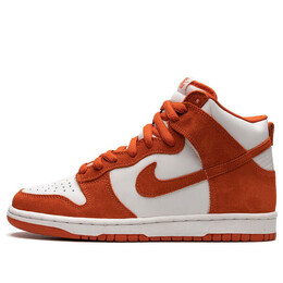 Кроссовки sb dunk high pro Nike, белый 305050-181 | white