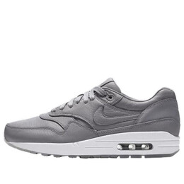 Кроссовки air max 1 pinnacle Nike, серый 859554-002 | wolf grey/mtllc slvr-wht-dk gry