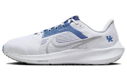 Кроссовки Nike Pegasus 40 Kentucky, белый dz5986-100 | white/royal/wolf gray