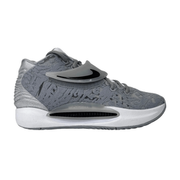 Кроссовки Nike KD 14 TB 'Wolf Grey', серый dm5040 003 | wolf grey/black/wolf grey