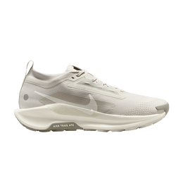 Кроссовки Nike Pegasus Trail 5 GORE-TEX 'Light Bone', кремовый fq0908 008 | light bone/light army/sail