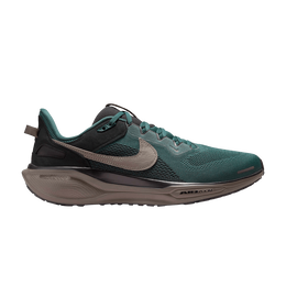 Кроссовки Nike Air Zoom Pegasus 41 SP 'Faded Spruce', зеленый hq6025 300 | faded spruce/olive grey/black