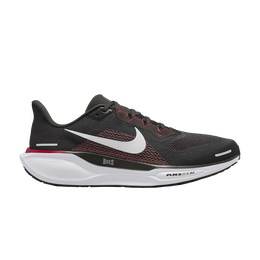 Кроссовки Nike NFL x Air Zoom Pegasus 41 'Tampa Bay Buccaneers', черный fz5076 200 | deep pewter/white/white/gym red/black