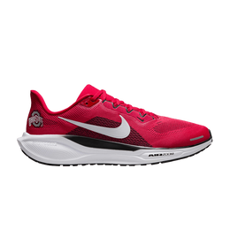 Кроссовки Nike NCAA x Air Zoom Pegasus 41 'Ohio State', красный ib3254 600 | university red/white/white/pewter grey