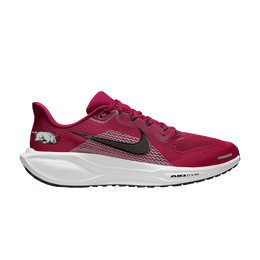 Кроссовки Nike NCAA x Air Zoom Pegasus 41 'Arkansas', красный ib3246 600 | team red/white/black