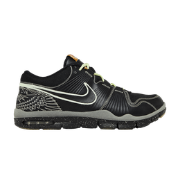 Кроссовки Nike Trainer 1 P.E 'Lights Out', черный 387150 003 | black/black-glow-metallic gold