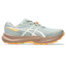 Кроссовки Asics Fuji Lite 6, серый 142230588 | grey