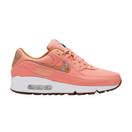 Кроссовки Nike Wmns Air Max 90 SE 'Cork - Apricot Agate', розовый dd0384 800 | apricot agate/white/coconut milk/wheat