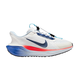 Кроссовки Nike Wmns Air Zoom Pegasus 41 EasyOn 'Team USA', белый fv3705 100 | summit white/blue void