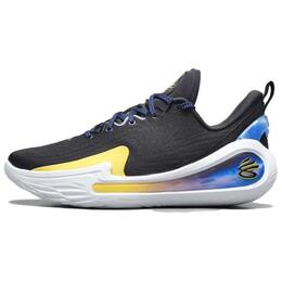 Кроссовки Curry Flow 12 Dub Nation Under Armour, черный 3027630-001 | black