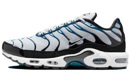 Кроссовки Air Max Plus Pure Platinum Court Blue Nike, белый/черный fn6949-001 | white black