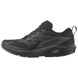 Salomon Кроссовки Sense Ride 5 GORE TEX 'Black Magnet' l47147200 | black