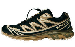 Кроссовки X END. XT 6 'Dark Truffle' / L00 Salomon, черный/коричневый 474244 | black brown