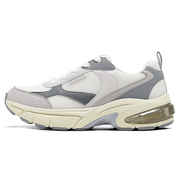 Износостойкие массивные низкие кроссовки женские бело-серые Skechers 177352-wgy | white gray