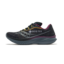 Saucony Кроссовки Kinvara 15 Gore Tex Black Shadow Women's s10969-250 | black gray