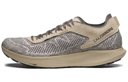 Salomon Кроссовки Pulsar Prg Knit 'Gray Brown' 473007 | taupe