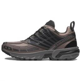 Кроссовки Acs Pro GORE-TEX 'Iron Plum Kitten' Salomon, Black Umber 475997 | black umber
