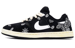 Nike Кроссовки для скейтбординга SB Alleyoop с противоскользящим износостойким верхом, унисекс, черно-белые j0882-001(team肆-男女同款腰果花)