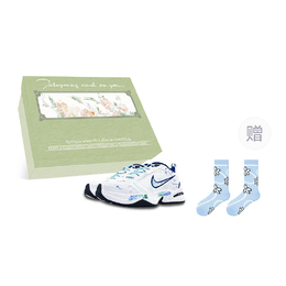 Nike Низкие кроссовки Air Monarch 4 Coverage с влагоотводящими свойствами, массивные, унисекс, белые, синие 415445-102(team116-m4麦田油画box) | white blue