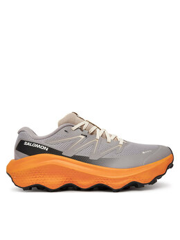 Беговые кроссовки Ultra Flow 2 Gore-Tex L47884200 Salomon, серый 0000305513274 | grau