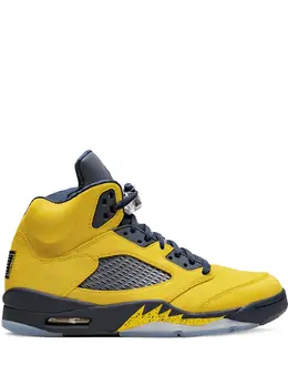 Кроссовки Air 5 Retro SE Michigan Jordan, желтый 14292065 | желтый