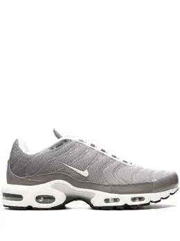 Кроссовки Air Max Plus SE Flat Pewter Nike, серый 21511743 | серый