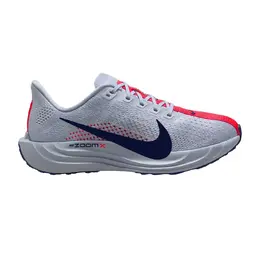 Женские беговые кроссовки Pegasus Plus Nike, серый a52978982 | gris