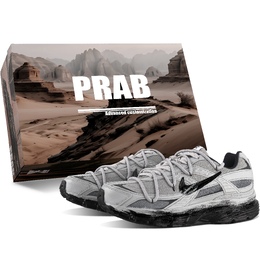 Кроссовки Initiator Low Top унисекс светло-серые Nike, Light Gray (Desert Sand Dune Box) 394055-101（team375-男女同款末日废土s） | light gray (desert sand dune box)