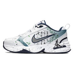 Nike Низкие кроссовки Air Monarch 4 с защитой от скольжения, износостойкие, массивные, унисекс, сине-белые 415445-102(team56-泼墨春意) | blue white