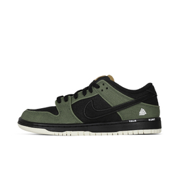 Кроссовки для скейтбординга Dunk SB Walker Coverage с амортизацией, износостойкие, низкие, унисекс, черно-зеленые Nike, Black Green fn5880-001(team368-男女款行者) | black green