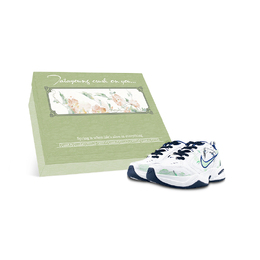 Nike Кроссовки Air Monarch 4 Slip Resistant Low Top Chunky унисекс, белые, зеленые 415445-102(team116-m4燕归来box) | white green