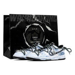 Nike Кроссовки для скейтбординга Dunk унисекс с низким верхом, синие dd1391-100(team1023-月面之行s-box) | white blue