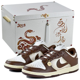 Nike Кроссовки для скейтбординга Dunk Anti-Slip, износостойкие, женские, коричневые dd1503-124（team96-snk女s-box） | brown