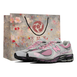 New Balance Низкие кроссовки NB 2002R с защитой от истирания, унисекс, цвет: черный, серый, розовый m2002rc1(team113-烟灰粉s-box) | black gray pink