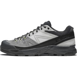 Salomon Низкие походные кроссовки X ALP унисекс, черно-серые 478058 | black gray
