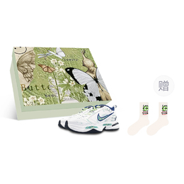 Nike Кроссовки Air Monarch 4 с низким, массивным верхом, износостойкие и нескользящие, унисекс, белые, зеленые 415445-102(team652-m4杏花box) | white green