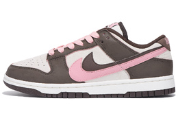 Nike Кроссовки для скейтбординга Dunk Slip-Resistant Coverage, женские, темно-коричневые hv1799-161(team拾伍-女款粉棕) | dark brown