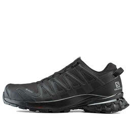 Кроссовки Salomon XA Pro 3D V8 GTX 'Black' 409889 409889 / l40988900