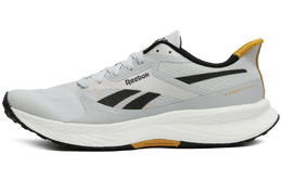 Reebok Кроссовки Floatride Energy 6 'Moon Grey Heritage Gold' 100201164 | gray